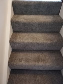staircase 3 - carpet: Heather Twist - color: brown